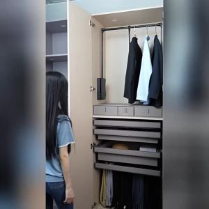 Wardrobe Lifting Hanger Cloakroom Pull-Down Hanger Wardrobe Damping Pull-Rod Household Clothes Hardware Hanger