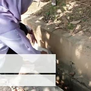 BIOVET ADVANCE HEALTH BOOSTER 30ml Free Postage Vitamin Kucing [ORIGINAL HQ]