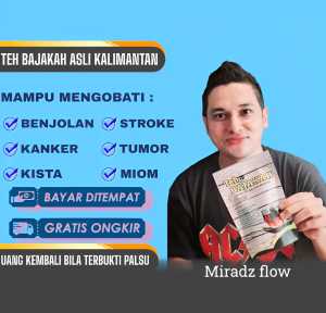 TEH BAJAKAH KALIMANTAN AKAR BAJAKAH KALIMANTAN KAYU BAJAKAH