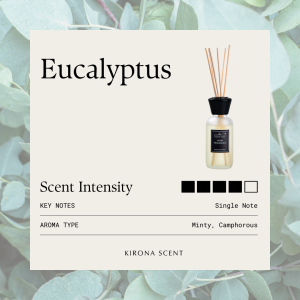 [KIRONA SCENT] Eucalyptus Reed Diffuser | Spa White 110ml | Alleviate Sinus Respiratory Issues Headache