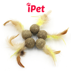 Bóng Cỏ Mèo Lông Vũ Cho Mèo Cỏ Mèo Khô Đồ Chơi Hỗ Trợ Hệ Tiêu Hóa Cho Thú Cưng - iPet Shop