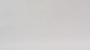 Nutricost Citric Acid Powder (1LB) - 1G Per Serving Non-GMO Gluten Free Vegetarian Friendly