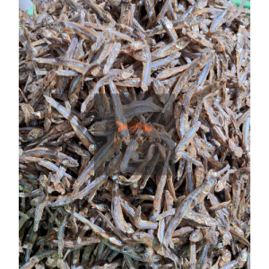 Ikan Asin Teri Biasa | Fresh | Berkualitas