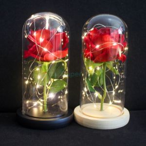 LED Light Enchanted Rose Flower Lamp Beauty and the Beast Rose Lamp Hiasan Lampu Ros Beauty & Beast