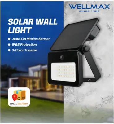 WELLMAX Solar Light Outdoor Waterproof 3-Color Dimming Auto-on Motion Sensor Solar Charging Light for Garden Wall