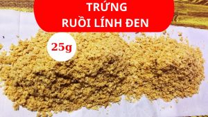 25g trứng ruồi lính đen sâu canxi