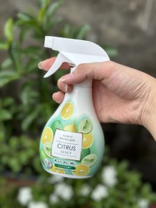 Bình xịt tinh dầu chanh Citrus Juicy Fabric Refresher với thiết kế hình quả chanh màu xanh lá và trắng dùng để làm sạch và thơm quần áo.