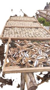 IKAN ASIN DENDENG MANIS GURIH 250gr GESEK TEMBANG DENGDENG 250gr FRESH MURAH...