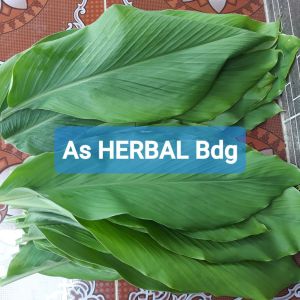 Daun kunyit segar 500 gram fresh-az