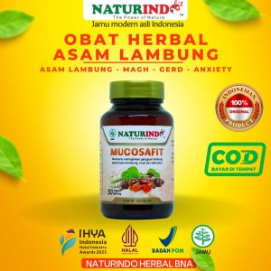 Obat Lambung Dan Kembung Maag Kronis Gerd Nyeri Ulu Hati Herbal Mucosafit Naturindo