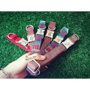 [Hỏa tốc] Dog Collar Pro Dây vải cao cấp khắc tên cho chó - Pettag Mozzi