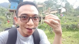 Madu Hutan Murni 100% Pure Raw Honey 250 mL