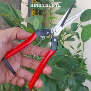 Kéo cắt tỉa cành cây SK5 kèm lò xo sơ cua- hàng nội địa Trung xuất Nhật