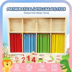 Mathematical Intelligence Stick Edukasi Anak Belajar Hitung