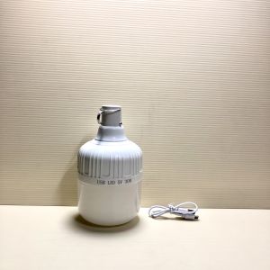 Mentol Lampu Boleh Dicas Semula USB / USB Rechargeable Light Bulb / USB充电灯泡