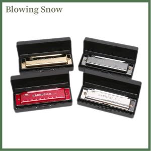 Blowing 10 Hole Harmonica Mouth Organ Puzzle Musical Instrument Beginner Teaching