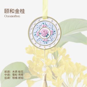 Aesthetic Style Tea Scented Aromatherapy Plaster Stone 复古风新中式桂花香挂车载衣橱石膏香薰挂片