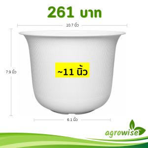 กระถาง กระถางต้นไม้ มินิมอล ถ้วยจีน ขนาด 11 นิ้ว สีขาว 5 ใบ ชิ้น อัน