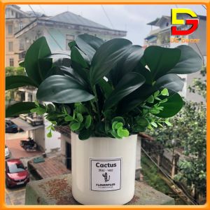 Chậu Cây Để Bàn Cây Giả Decor Cao 25-50cm Nhiều Mẫu Cắm Sẵn Trang Trí Nhà Cửa DC-139