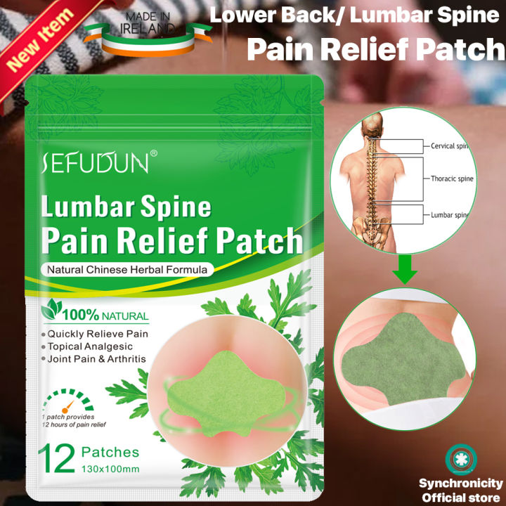 SEFUDUN Back Pain Relief Patch Upper Lower Back Heat Sticker