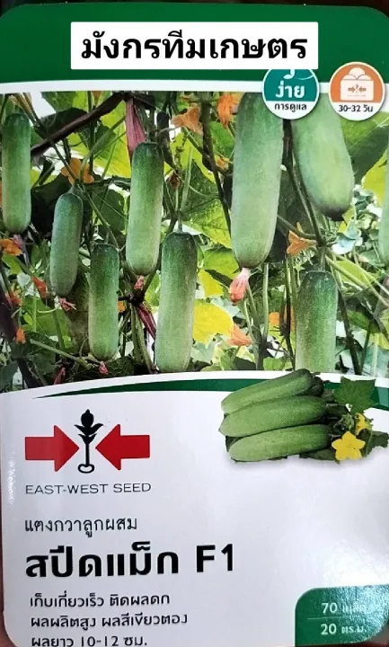 เมล็ดพันธุ์แตงกวา สปีดแม็ก F1 ศรแดง เก็บผลผลิตเร็ว