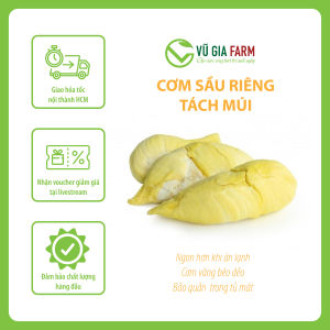 [GIAO HOẢ TỐC HCM ] VG FARM Sầu Riêng Ri6 Tách Vỏ - Trái già hái trực tiếp tại vườn không lo hoá chất - Cơm vàng hạt lép bao ăn