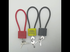Steel Wire Padlock 20cm Anti-theft Cable Lock for Locker Luggage Suitcase Helmet