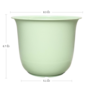 กระถาง กระถางต้นไม้ มินิมอล ถ้วยจีน ขนาด 8 นิ้ว สีเขียวพาสเทล 5 ใบ ชิ้น อัน
