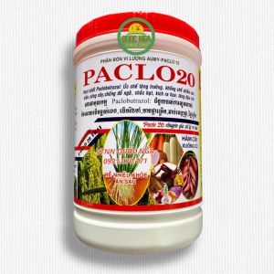 PACLO 20 - CỨNG CÂY TẠO CỦ CHỐNG ĐỔ NGÃ THÚC ĐẨY RA HOA SỚM - HỘP 1kg