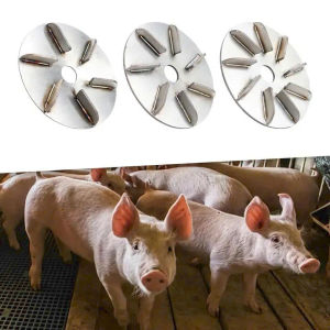 Đĩa cạo lông lợn Đĩa cạo lông gia súc gắn máy mài tiện dụng cho năng xuất cao.