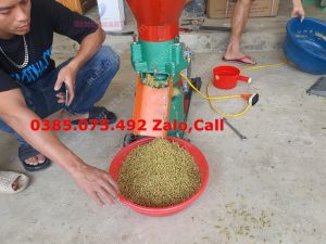 Máy làm cám viên tại nhà giá rẻ tặng kèm mặt sàng