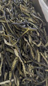 500gr Tảo Xoắn Chile [ Tảo Biển Chile] Hàng Loại 1- Sợi Dài- Giàu Dinh Dưỡng- Tốt Cho Sức Khỏe