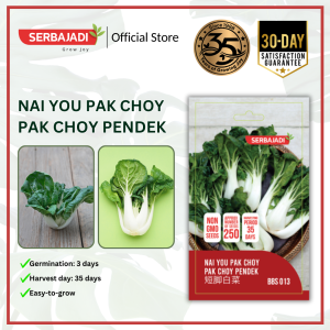 Biji Benih Sayur Pak Choy Pendek Sayur Sawi - Vegetable Seed Nai You Pak Choy SERBAJADI - 1g/pack Approx. seeds 250 pcs