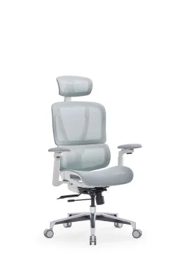 ERGOWORKS Truly Airflex Ergonomic Office Chair - High Back Mesh
