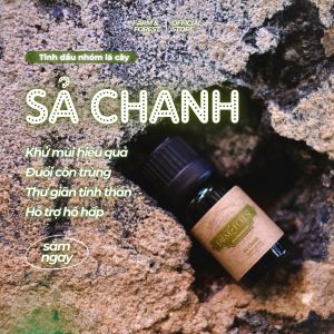 Tinh Dầu Sả Chanh Nguyên Chất Farm & Forest | Đuổi Muỗi Khử Mùi Hiệu Quả Thiên Nhiên An Toàn Thư Giãn Tinh Thần (10ml)