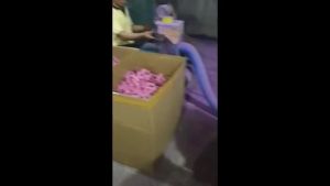 Shipped from China [BIN] Pedal Resistance Band Home Fitness Resistance Rope Slim Waist Slim Belly Sit-Up Assist Elastic Rope