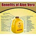 Forever Living Aloe Vera Gel 1 LITER Stabilized. 