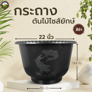 กระถางต้นไม้ไซส์ยักษ์ สีดำ อ่างบัวพลาสติก แบบหนา อ่างเลี้ยงปลา อ่างเลี้ยงบอล อ่างเลี้ยงกล้วย อย่างดี