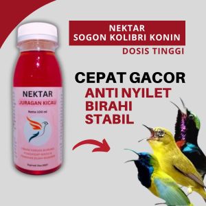 Nektar Sogon Kolibri Konin Juragan Kicau Dosis Tinggi Biar Cepat Gacor Dongkrak Birahi Anti Nyilet