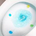 Gel Pengharum Toilet Kloset WC TAHAN LAMA ANTI BAKTERI AROMATHERAPY PENYEGAR PEWANGI KAMAR MANDI KG. 
