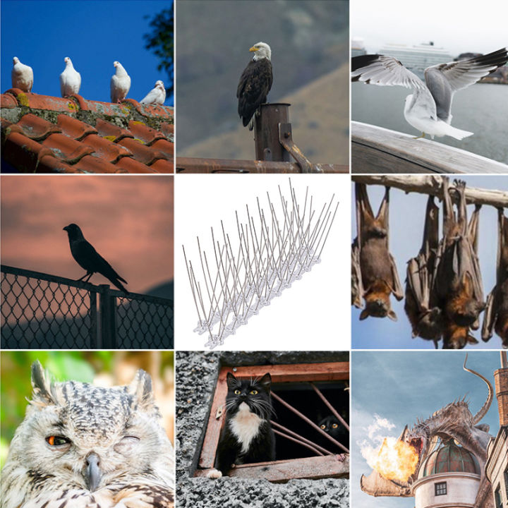 %E3%80%90SG%20Seller%E3%80%91%E2%9C%94%EF%B8%8F1m%20Stainless%20Steel%20Birds%20Spikes%E2%9C%94%EF%B8%8FPest%20Control%20Repellent%20Repeller%20Bird%20Cat%20Deterrent%20Aircon%20Anti%20Repel%20-%20Image%207