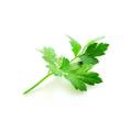 PARSLEY LEAVES 100g | Lazada PH