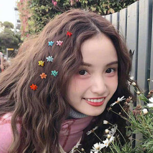Cute Hair Accessories for Girls: Small Flowers Crab Claw Clip & Mini Hairpin