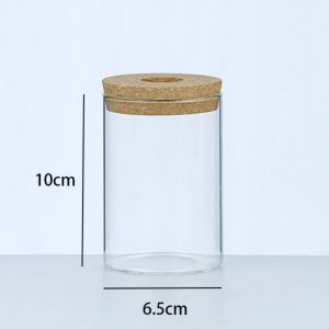 TLE96110 Transparent Hydroponic Flower Pot Creative Mini Terrarium Decoration Soilless Home Glass Vase