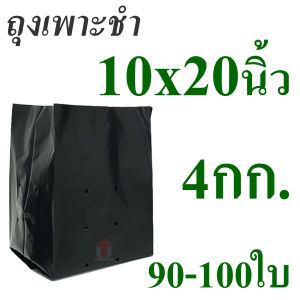 Union ถุงเพาะชำ ถุงเพาะกล้าสีดำ คละขนาด เจาะรู จำนวน 4 ก.ก.