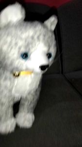 BONEKA KUCING ANGORA PERSIA DUDUK CAT DOLL MAINAN EDUKASI SET HADIAH ULTAH