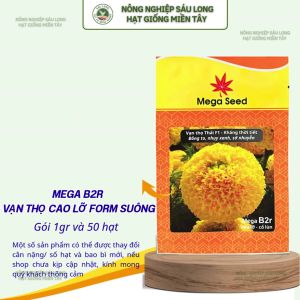 Hạt Giống Vạn Thọ F1 MEGA B2R – Vàng chanh Cao Lỡ Cổ Lùn Bông To – Mega Seed