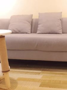 CatSolid Wood Rotating Plate Cat Toy Self-Entertainment Teasing Cat Food Dispensing Scratching All-in-One Cat Supplies