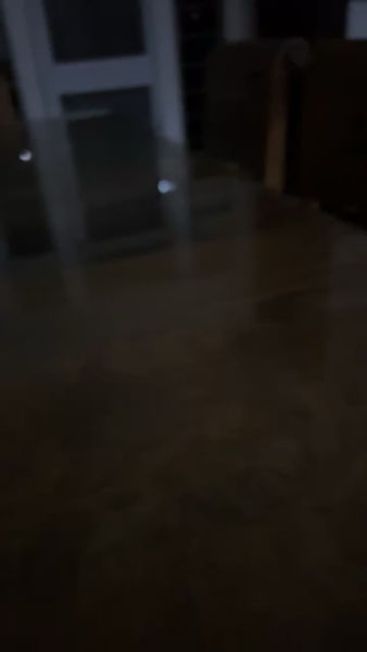Buyer review video 2