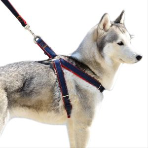 Ready Stock - Jean Pet Leash Fashion Dogs Harness Collar and Leash Set Comfortable Denim Cloth Puppy Harness Collar with Leashes